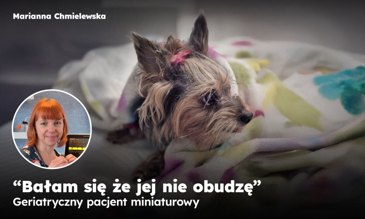 Griatryczny pacjent miniturowy Marianny Chmielewskiej