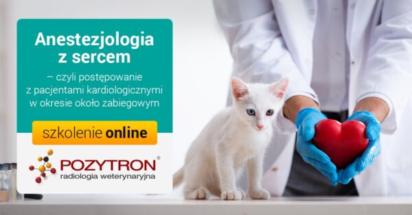 Anestezjologia z sercem - czyli postępowanie z pacjentami kardiologicznymi w okresie około zabiegowym