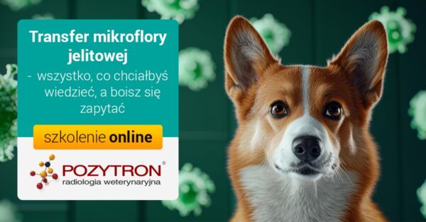 Transfer mikroflory jelitowej - wszystko, co chciałbyś wiedzieć, a boisz się zapytać