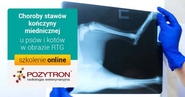 Badanie radiologiczne w chorobach kręgosłupa małych zwierząt 5