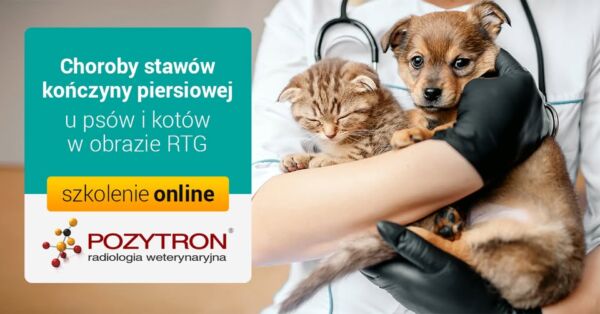 Webinar Choroby stawów kończyny piersiowej u psów i kotów w obrazie RTG 4