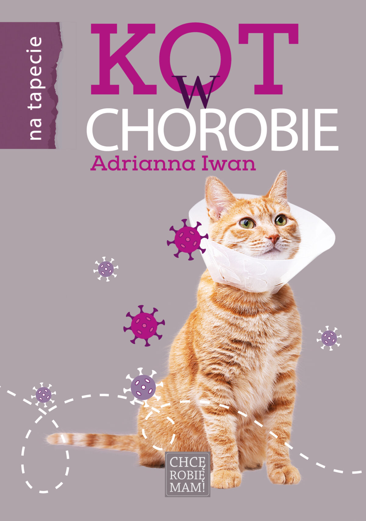 Kot w chorobie książka Adrianny Iwan