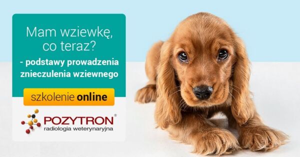 Webinar Mam wziewkę, co teraz - podstawy prowadzenia znieczulenia wziewnego 3