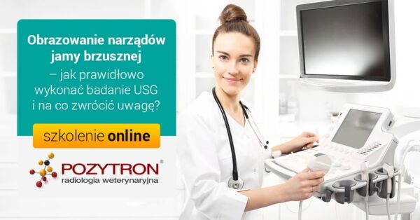 Webinar Obrazowanie narządów jamy brzusznej – jak prawidłowo wykonać badanie USG i na co zwrócić uwagę 6