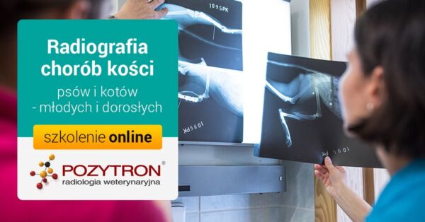 Webinar Radiografia chorób kości psów i kotów – młodych i dorosłych 3