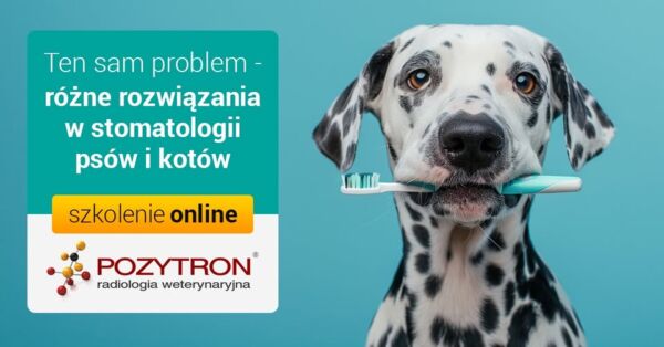 Webinar Ten sam problem - różne rozwiązania w stomatologii psów i kotów 2