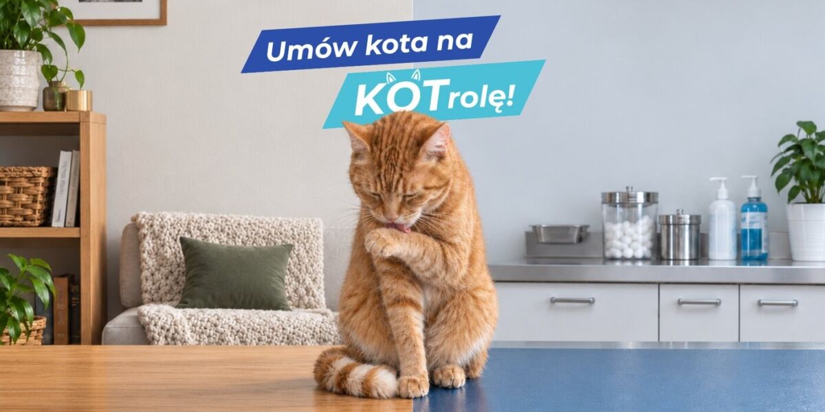 Umów kota na Kotrole