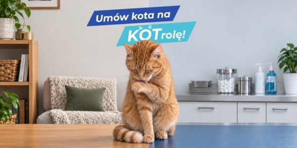 Umów kota na Kotrole